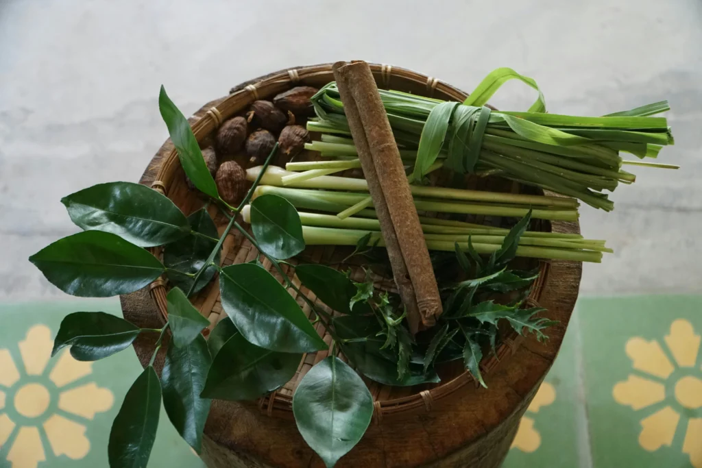 Jaens Spa Center Ubud - The Art of Wellbeing - https://jaensspa.com/wp-content/uploads/2020/09/Jaens-Spa-Ubud-Logo.png