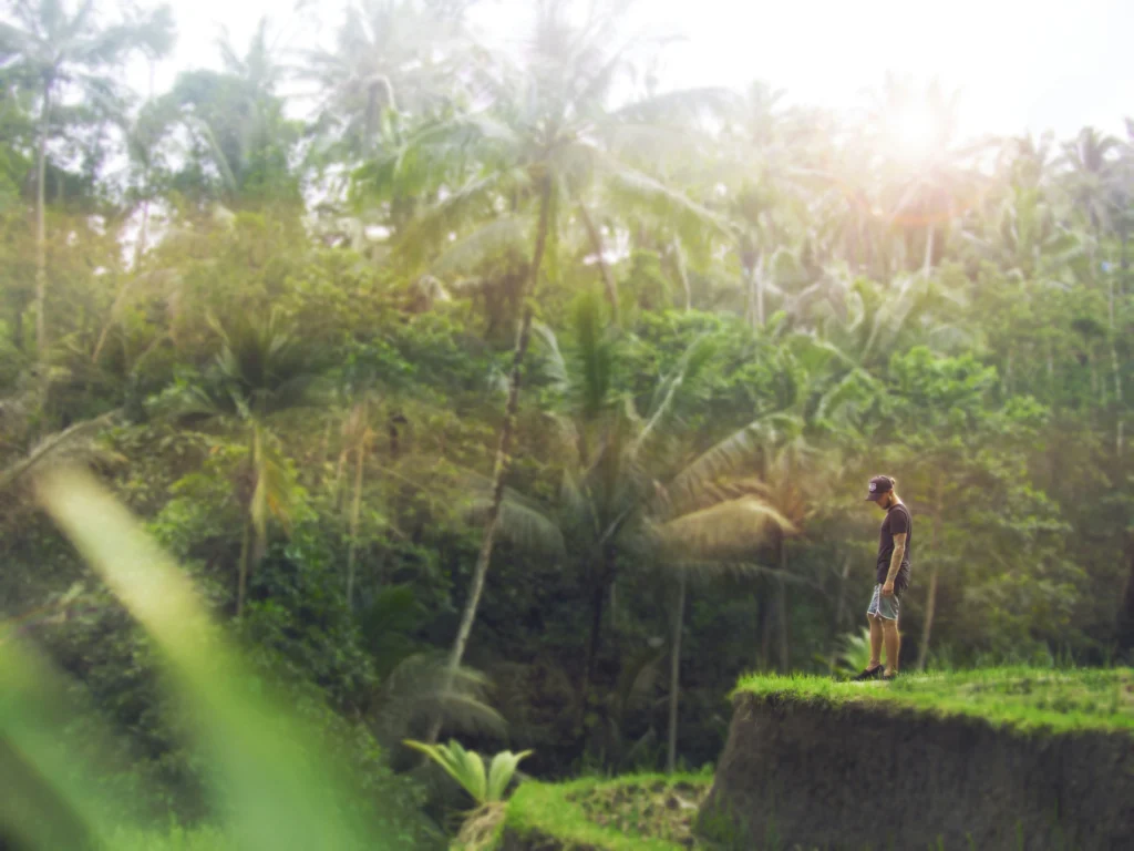 Digital Detox Retreats & Spa Culture - How Ubud Spa Is Riding the Global Wellness Trends
