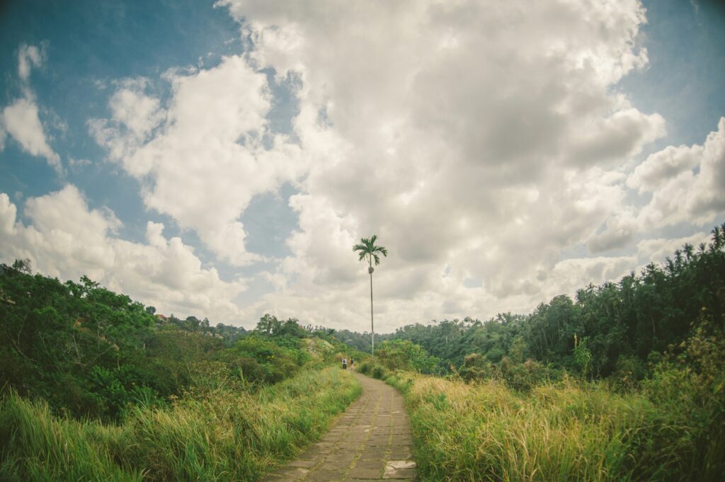 Travelers trekking along the paved path of the scenic Campuhan Ridge Walk surrounded by lush greenery
