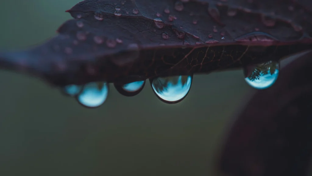 rainy season - hot stone massage ubud (2)