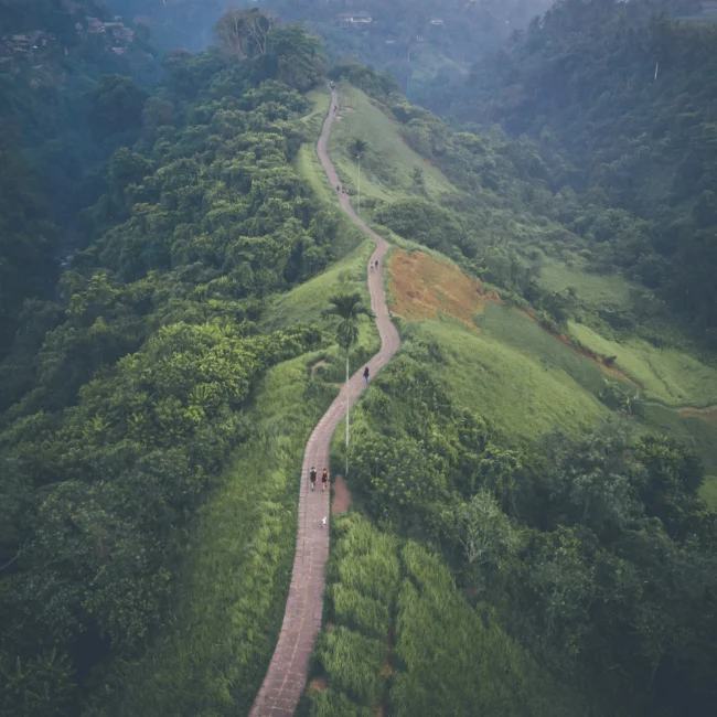 Ubud yang Lebih Sunyi Masih Ada - Campuhan Ridge Walk